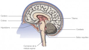 foto de ficha